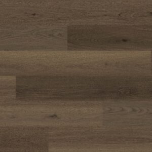 Mocha Mist